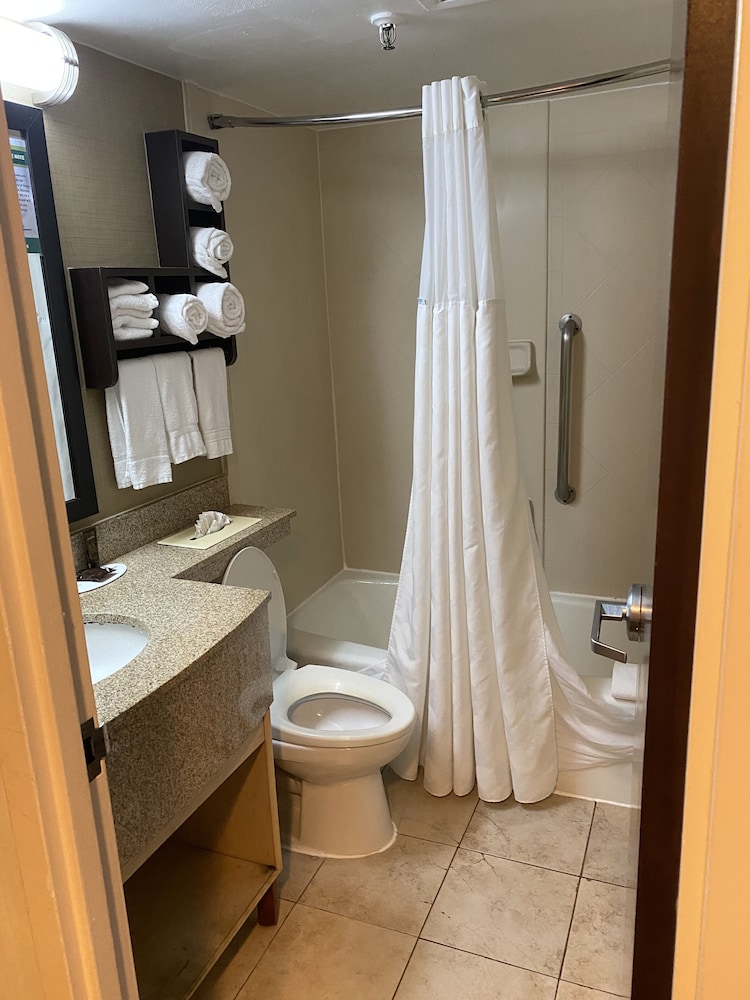 Wingate by Wyndham Springfield 18/60
