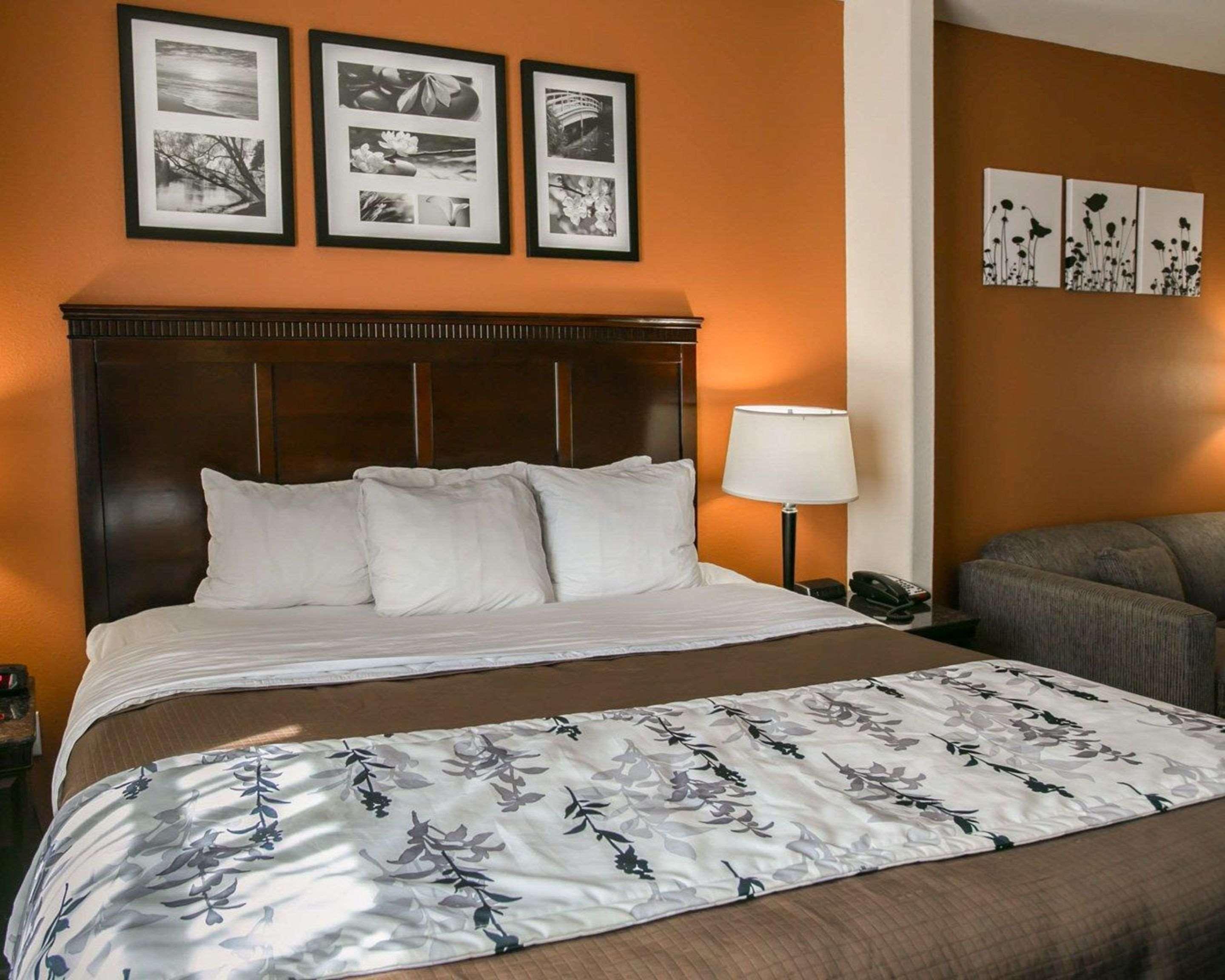SUITE, KING BED, ACCESSIBLE