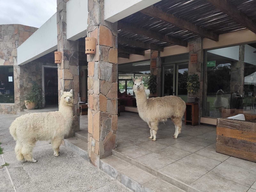 Limari Hotel 6/49