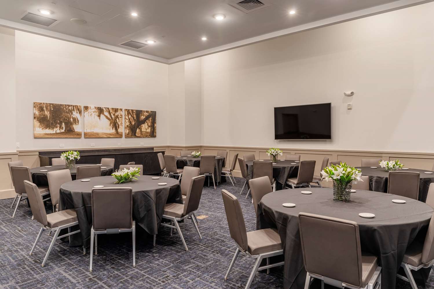 Tryp By Wyndham Savannah 55/60
