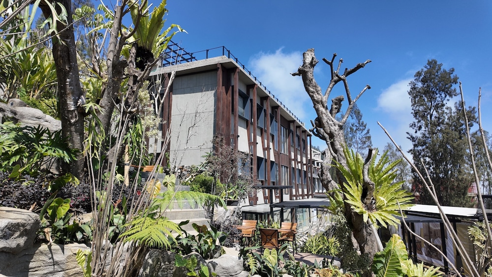 Jambuluwuk Bromo Poshtel in Wonokitri