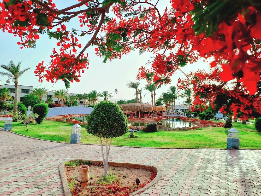 surroundings