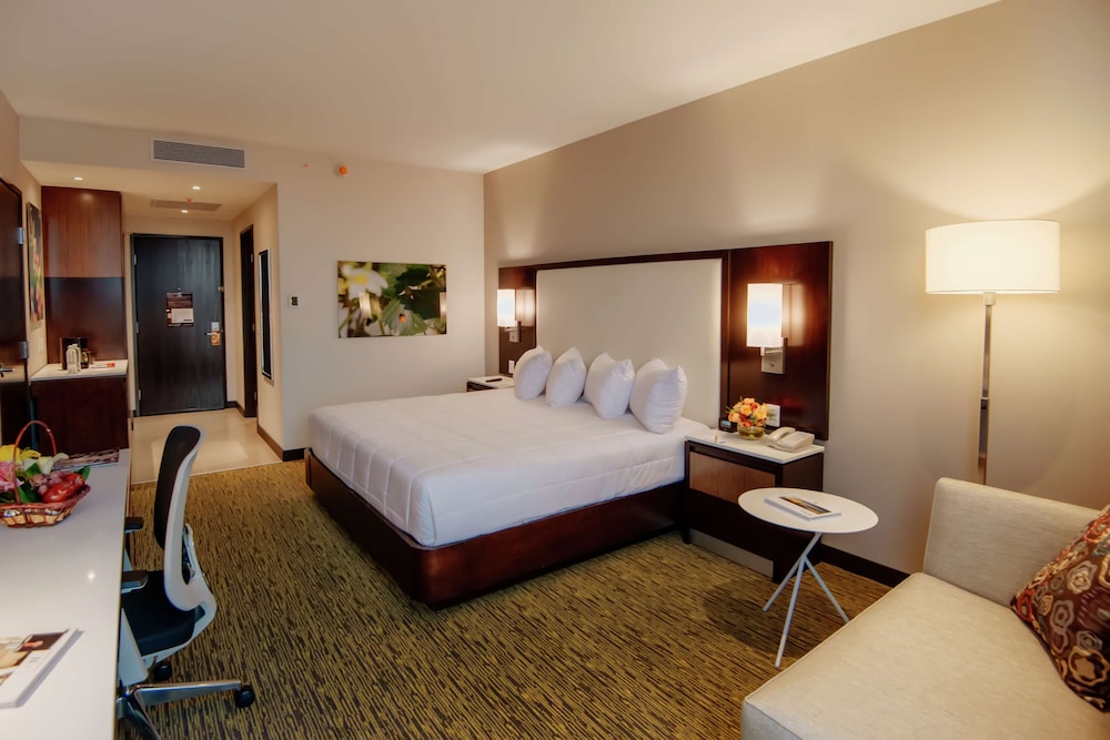 Hilton Garden Inn Puebla Angelopolis 12/50