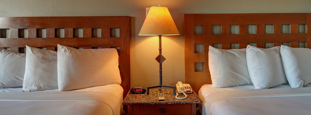阿尔伯克基东北豪生酒店(Best Western North I-25 Hotel) 图片2