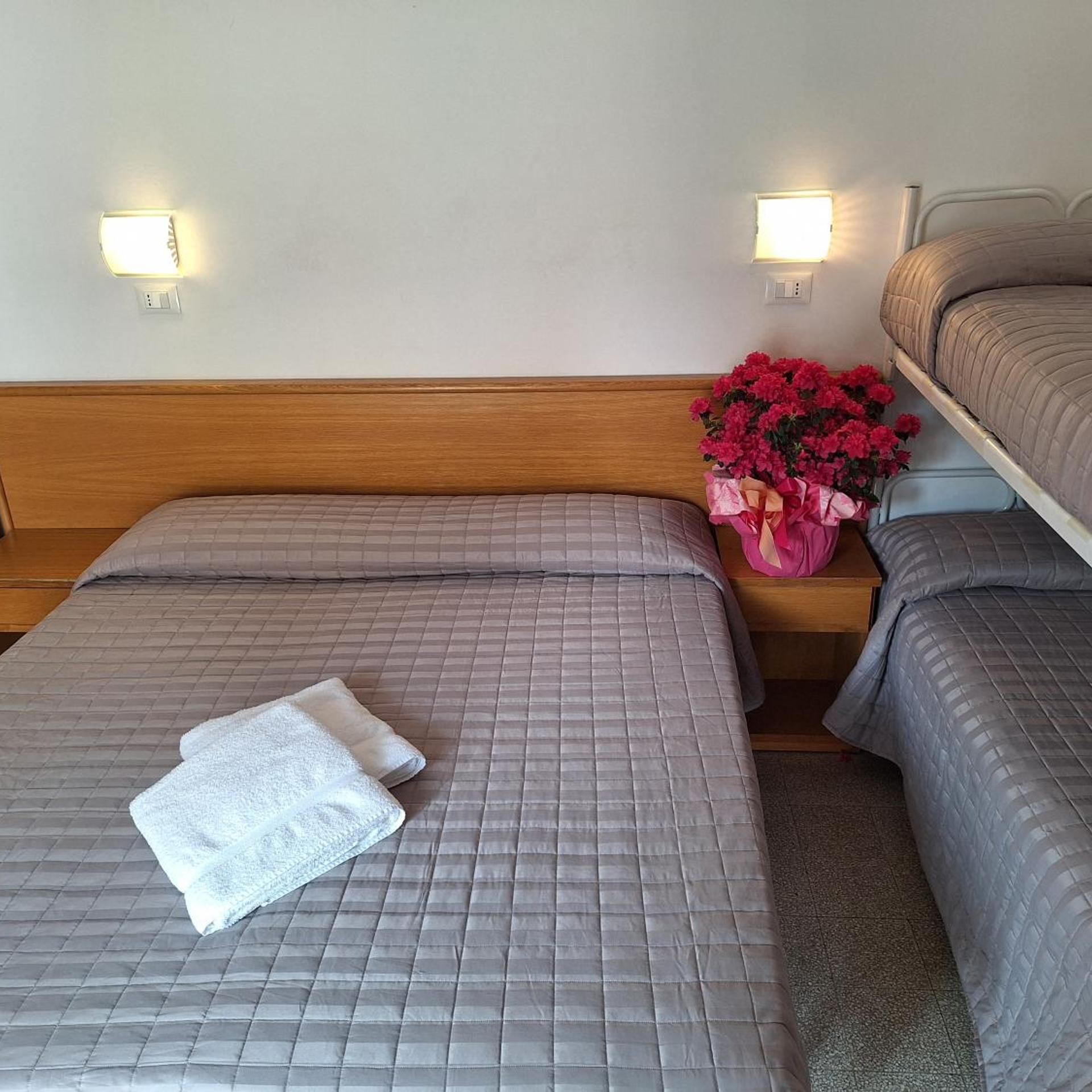 Hotel Alessi Rimini 28/50