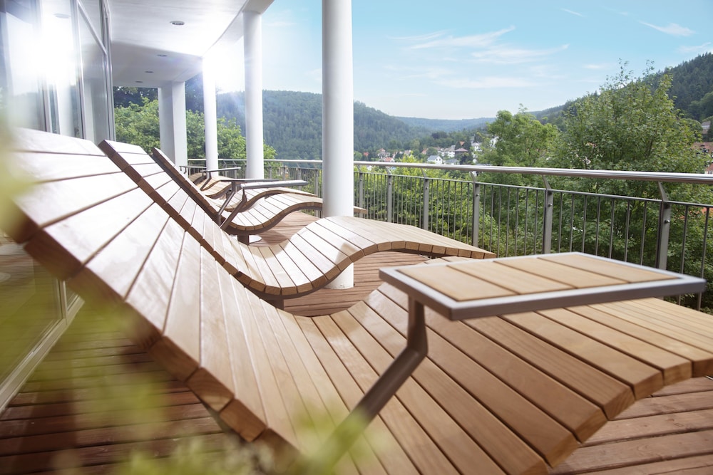 Schwarzwald Panorama 28/50