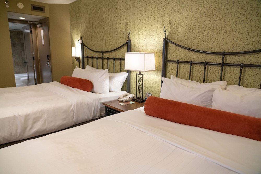 STANDARD, 2 QUEEN BEDS