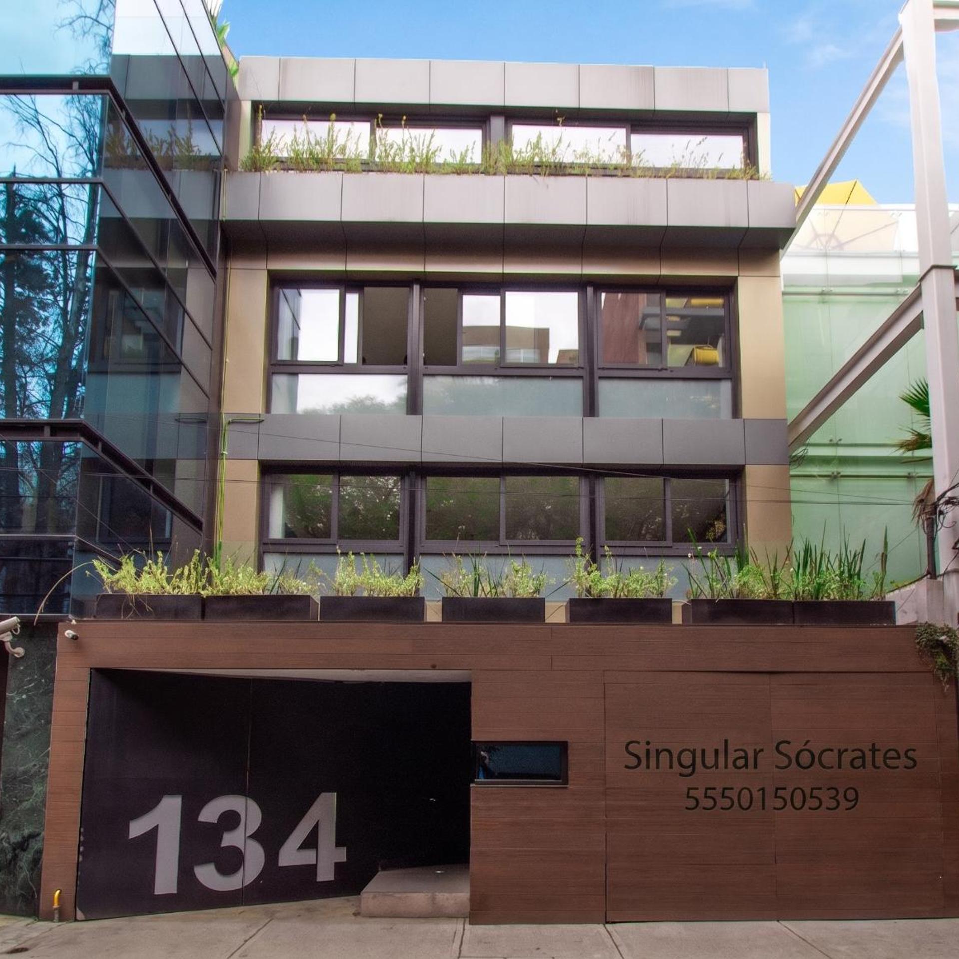 Singular Polanco Sócrates 38/50