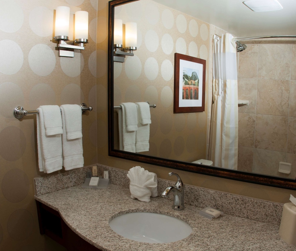 Hilton Garden Inn Milwaukee Airport 13/60
