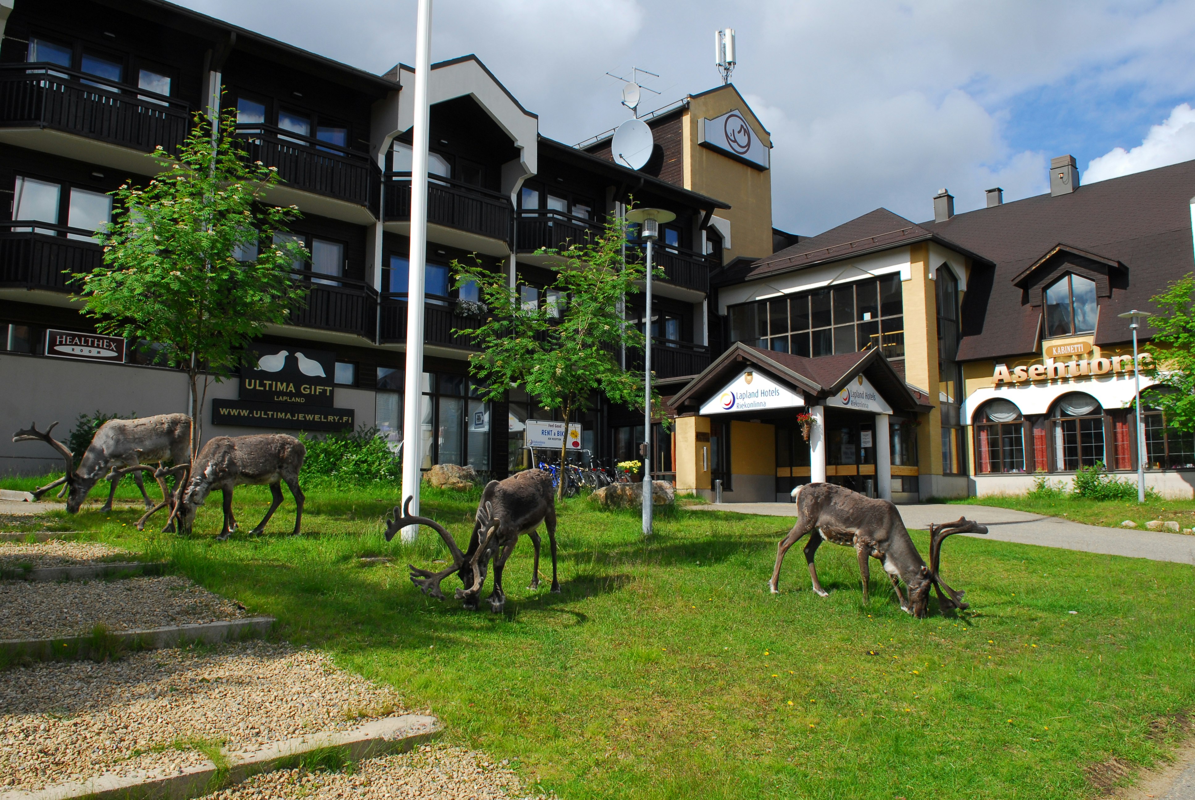 Lapland Hotels Riekonlinna 9/9