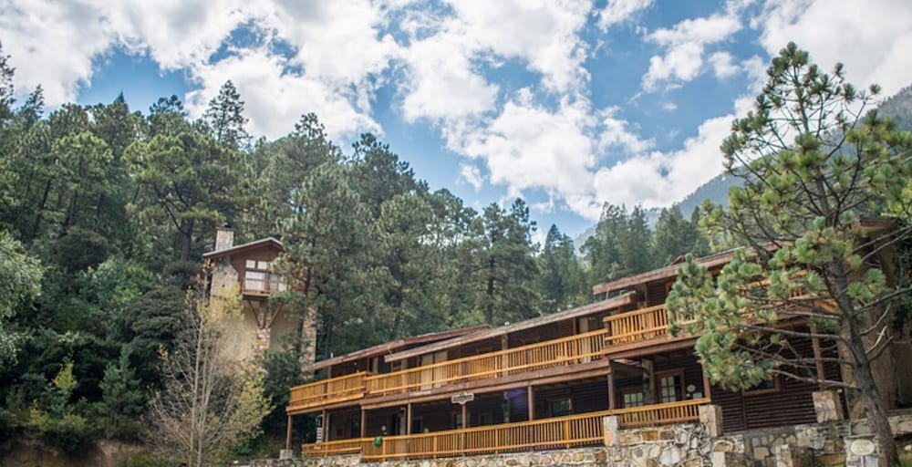 Bosques de Monterreal 8/70