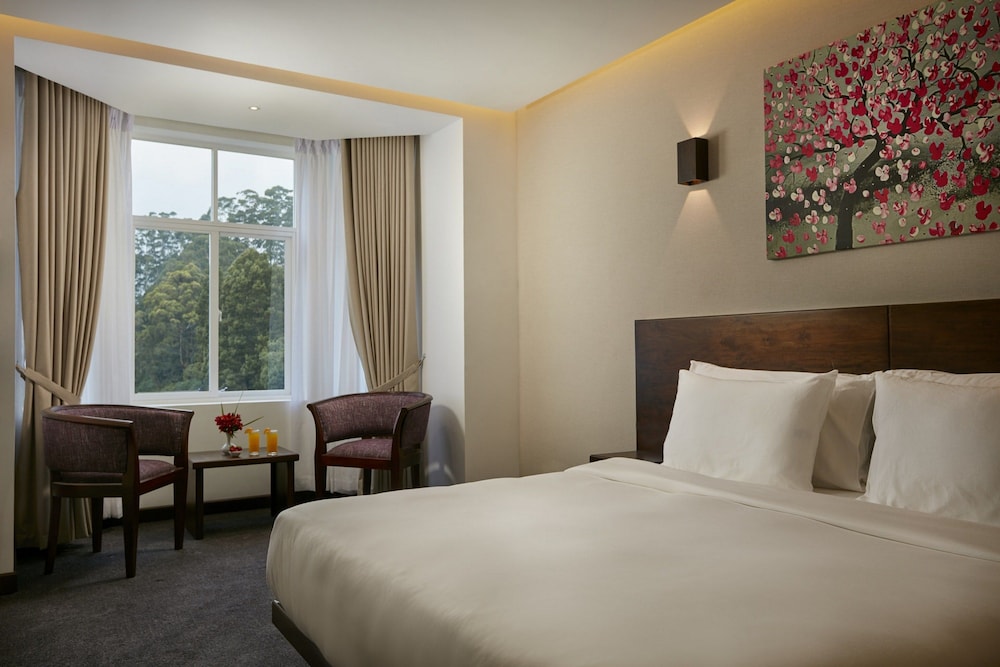 Galway Heights Hotel 13/47