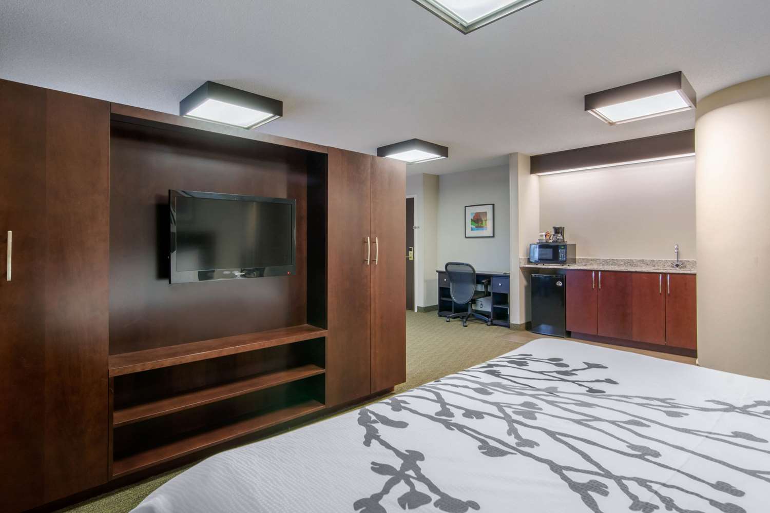 Sleep Inn Sault Ste. Marie 12/41