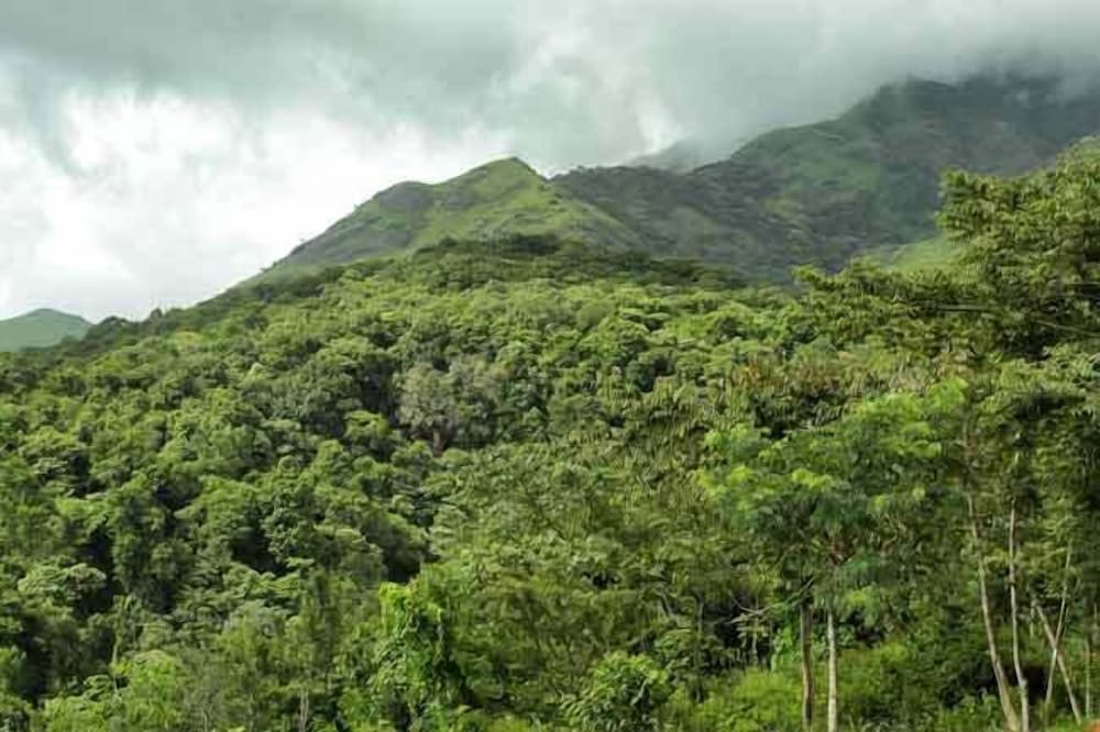 BANASURA HILL RESORT 35/50