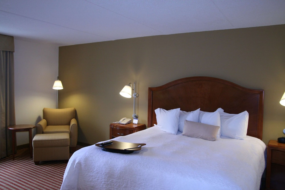 Hampton Inn Roanoke/Hollins - I-81 16/37