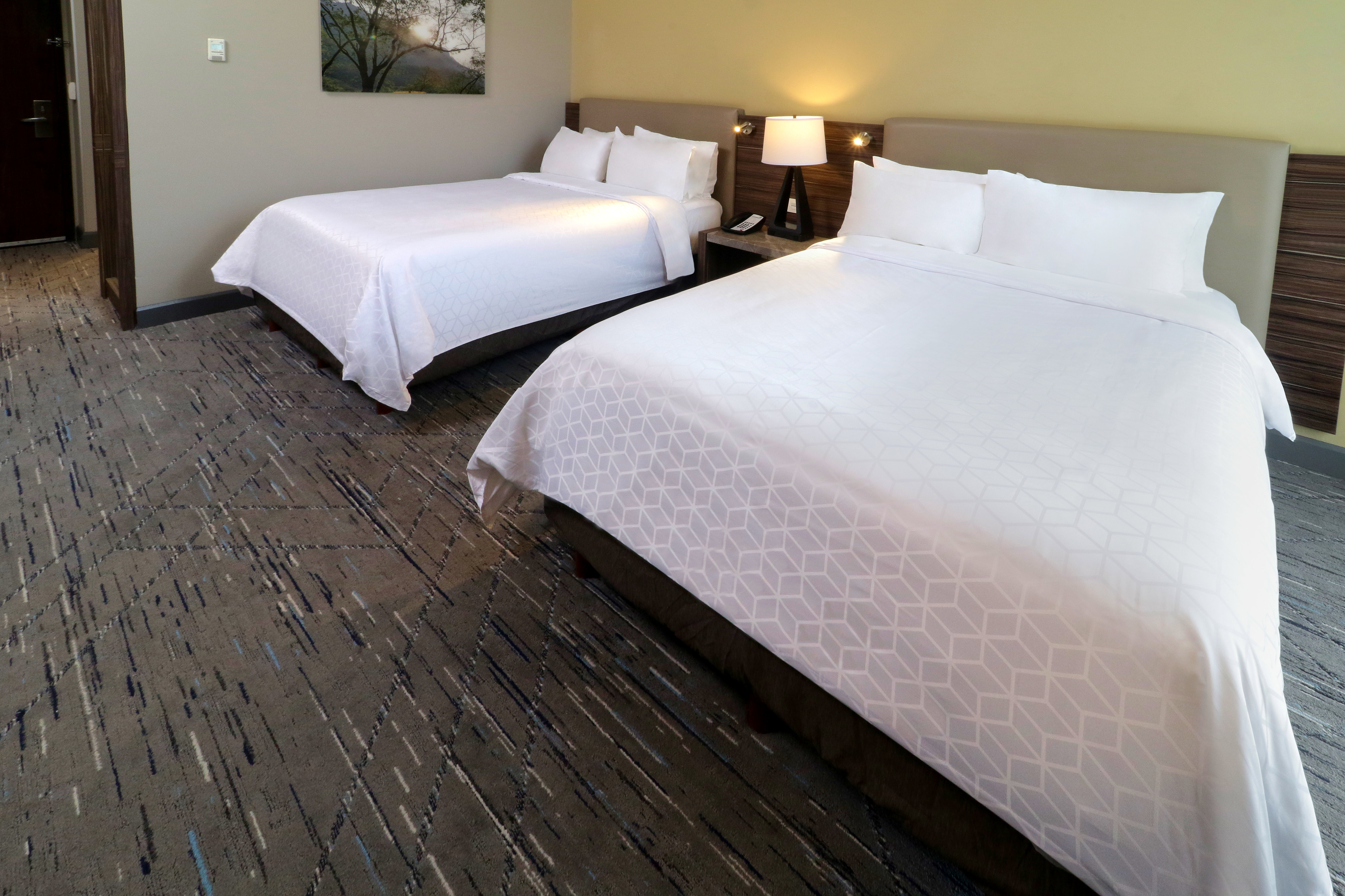 Standard, 2 Queen Beds, Mountain View, High Floor