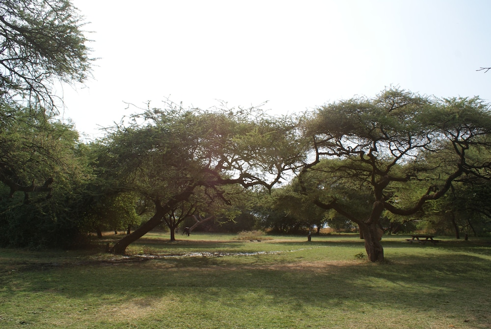 LAKE NATRON TENTED CAMP 8/17