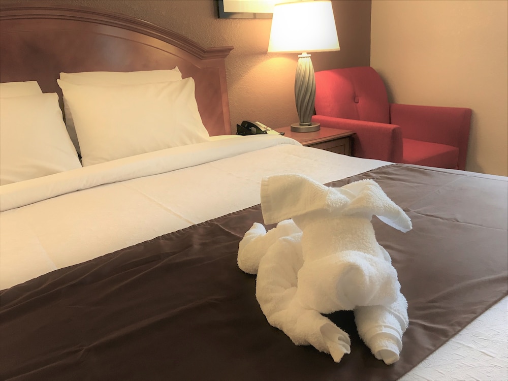 Americas Best Value Inn - Lynnwood / Seattle 13/34
