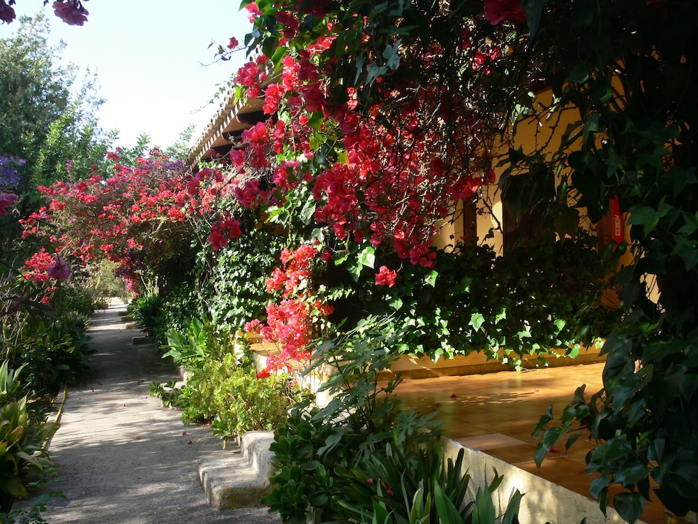 FINCA PREDIO SON SERRA 26/36