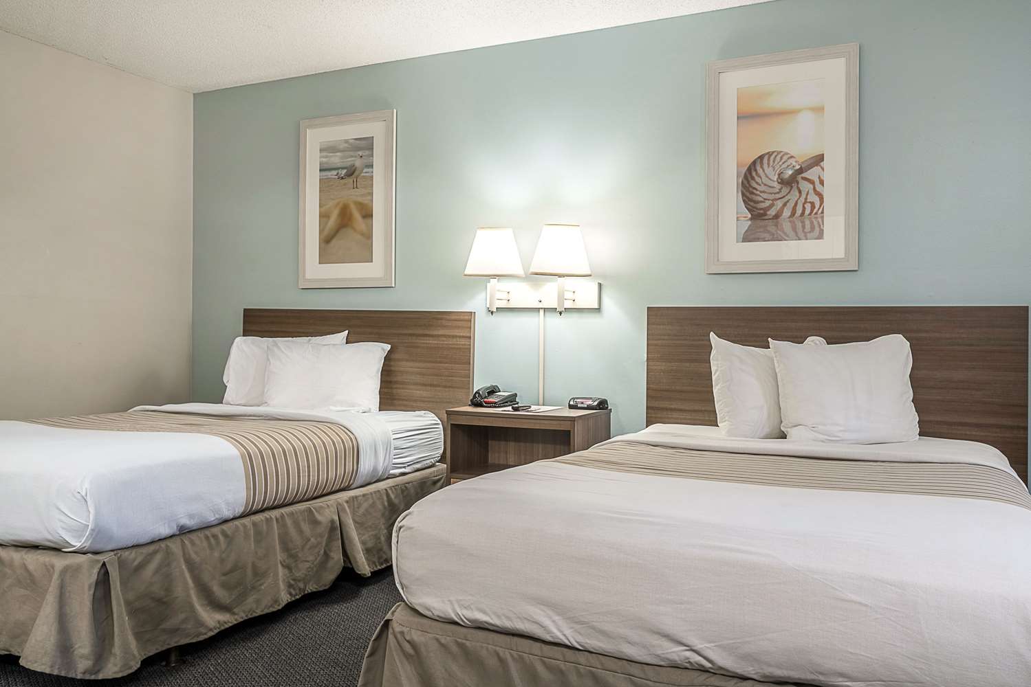 Efficiency, King and Queen Bed