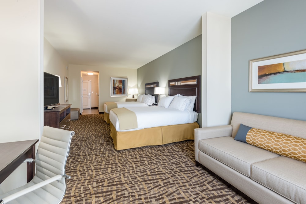 Holiday Inn Express & Suites Denver South - Castle Rock 10/54