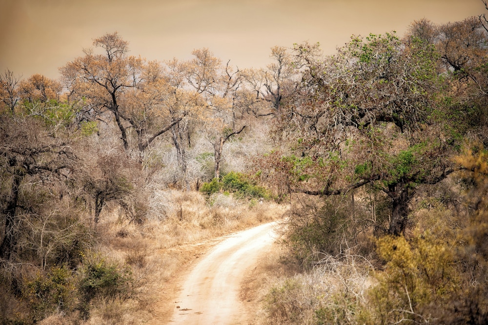Rhino Walking Safaris 28/41