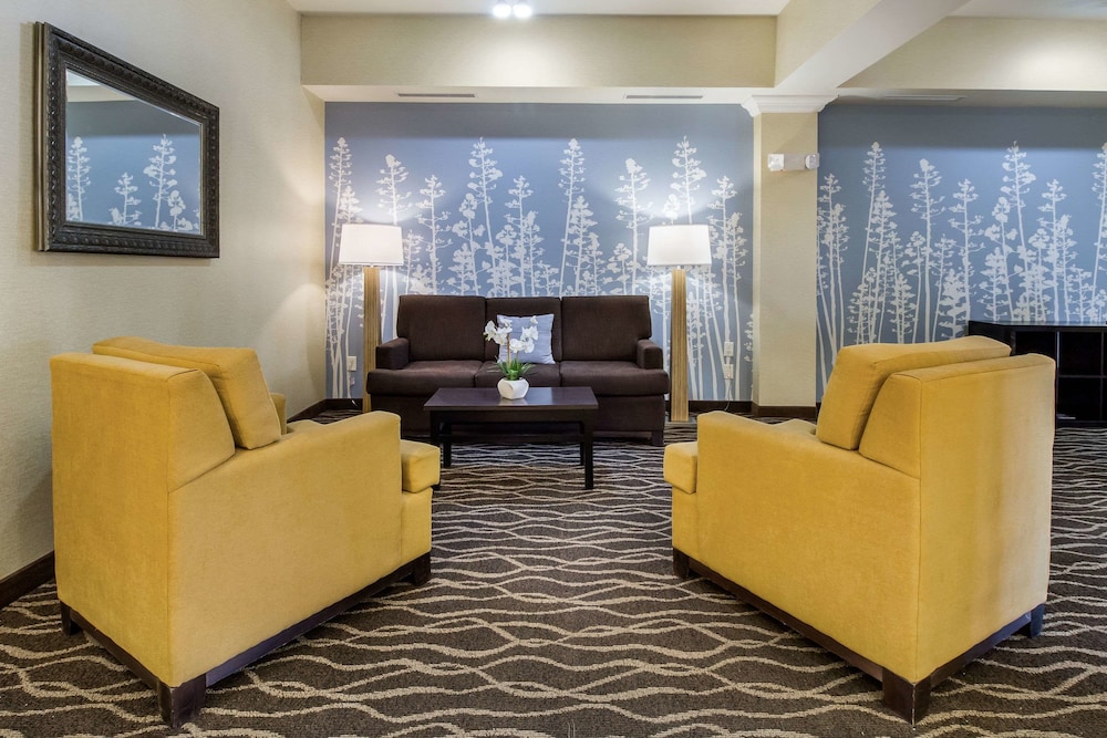 Sleep Inn & Suites Rapid City 22/35