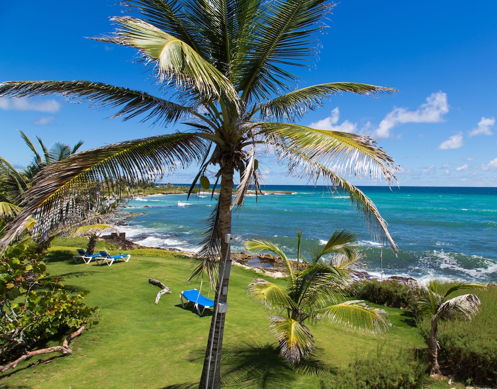 Ocean Spray Beach Apartments 37/50
