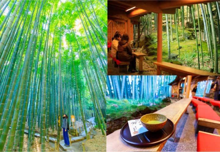 GEN HOTEL KAMAKURA 31/50