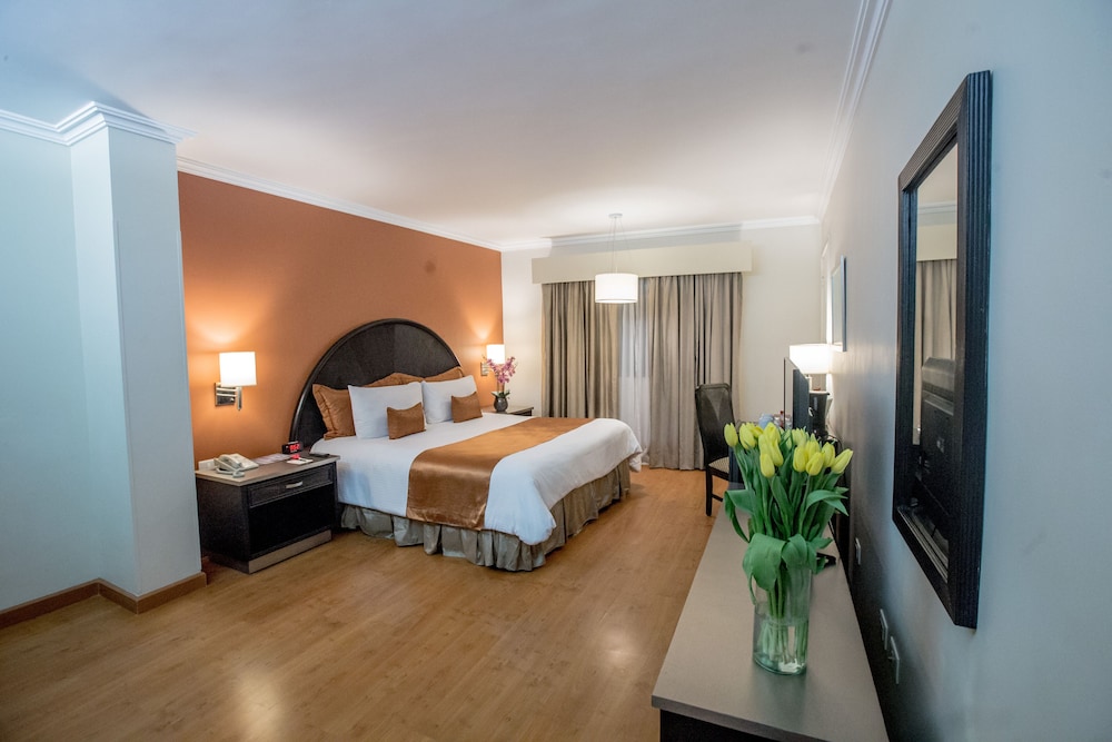 Hotel Plaza de Oro 10/43