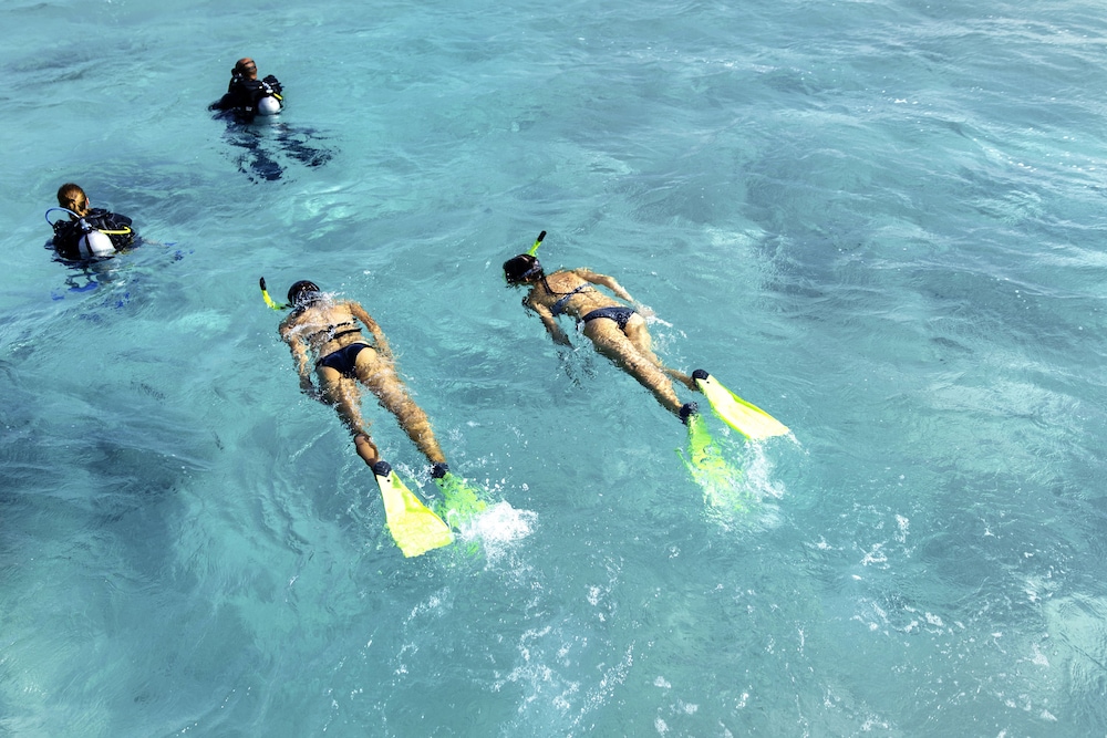 Robinson Soma Bay 47/50
