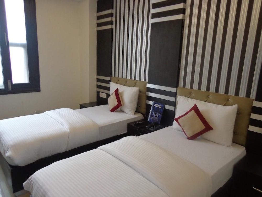 Hotel Blue Pearl Paharganj 19/50