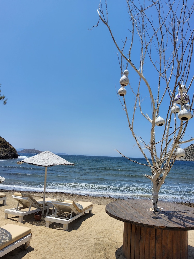 Ladonia Hotels Zemda Gumusluk 38/50