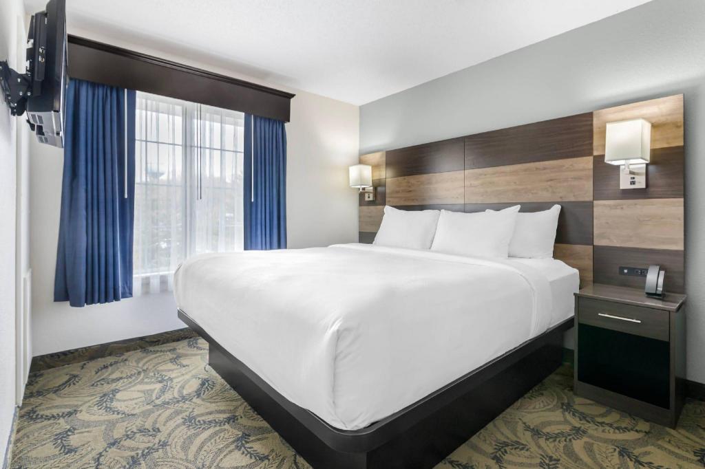 UPGRADE, EFFICIENCY, SUITE, KING BED