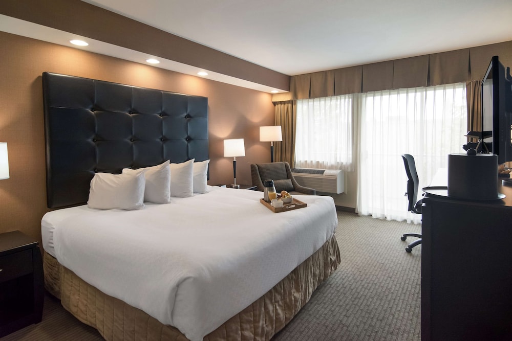 Best Western The Westerly Hotel 13/44