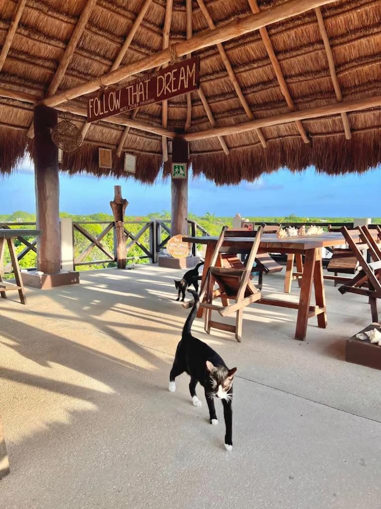 Hotel Jaiba Mahahual 33/58