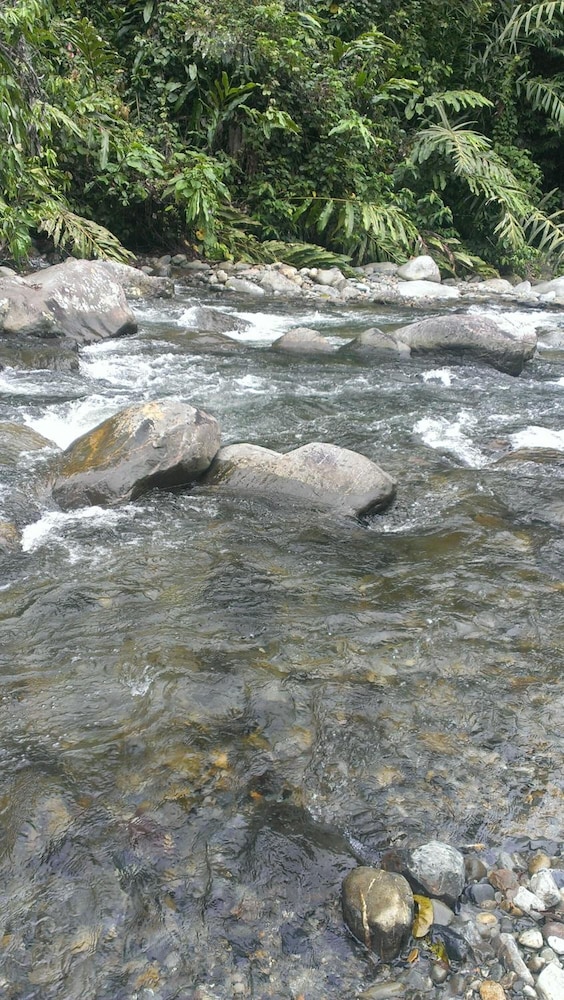 Kinabalu Poring Vacation Lodge 25/60