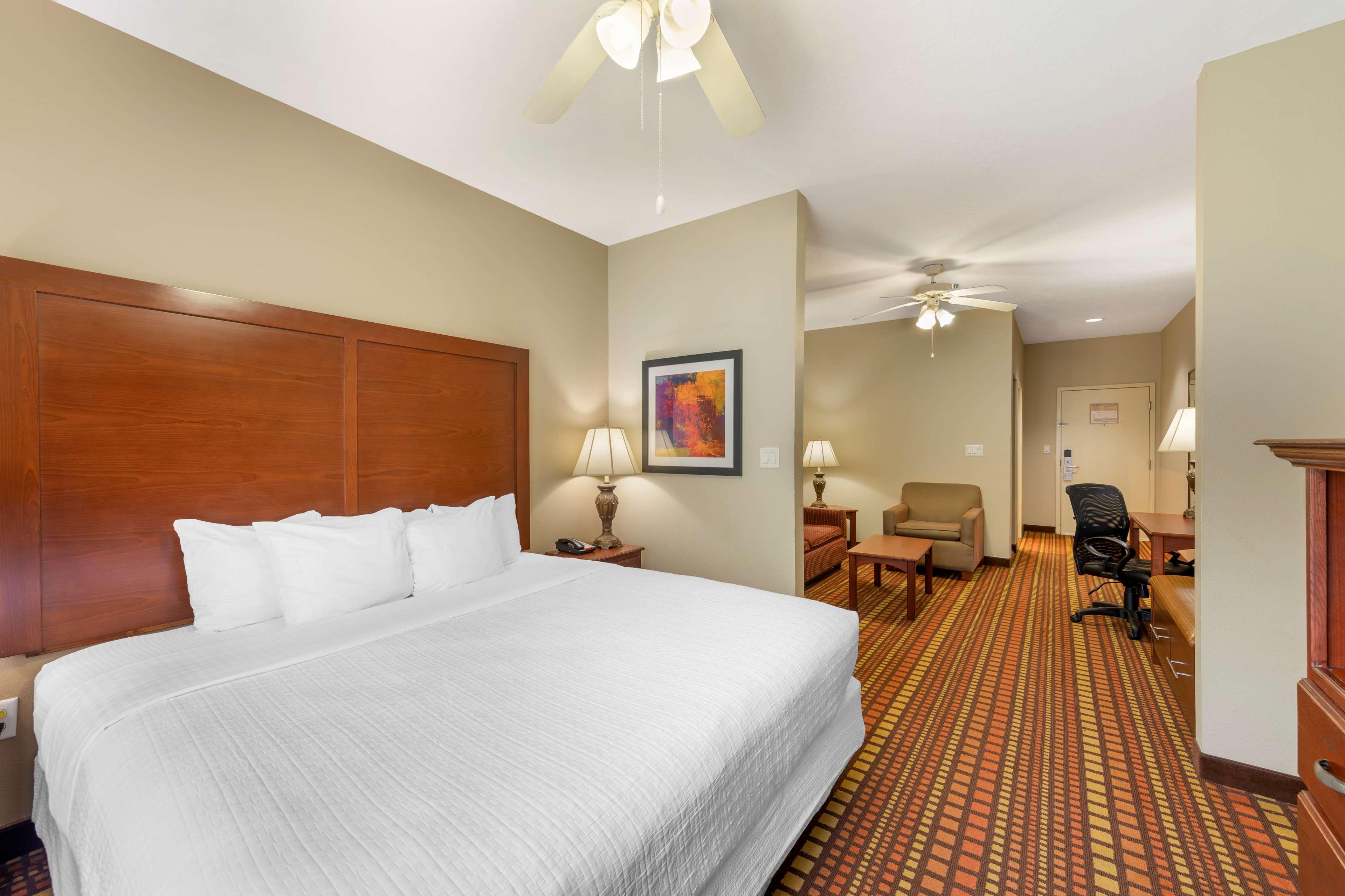 Suite, King Bed