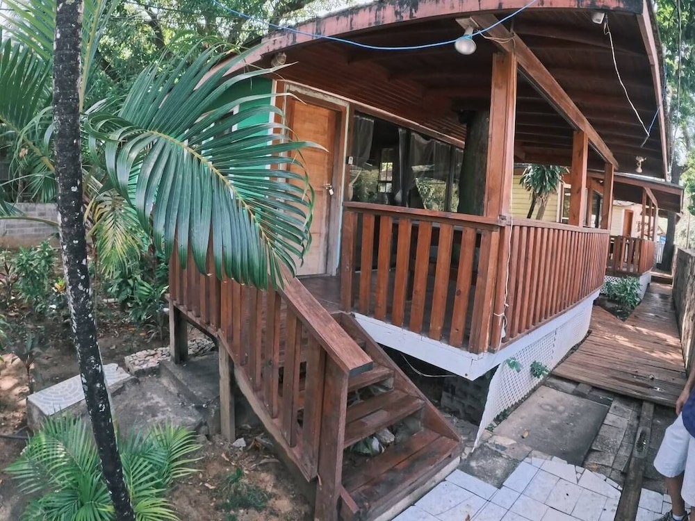 Coconut Tree West End 6/54