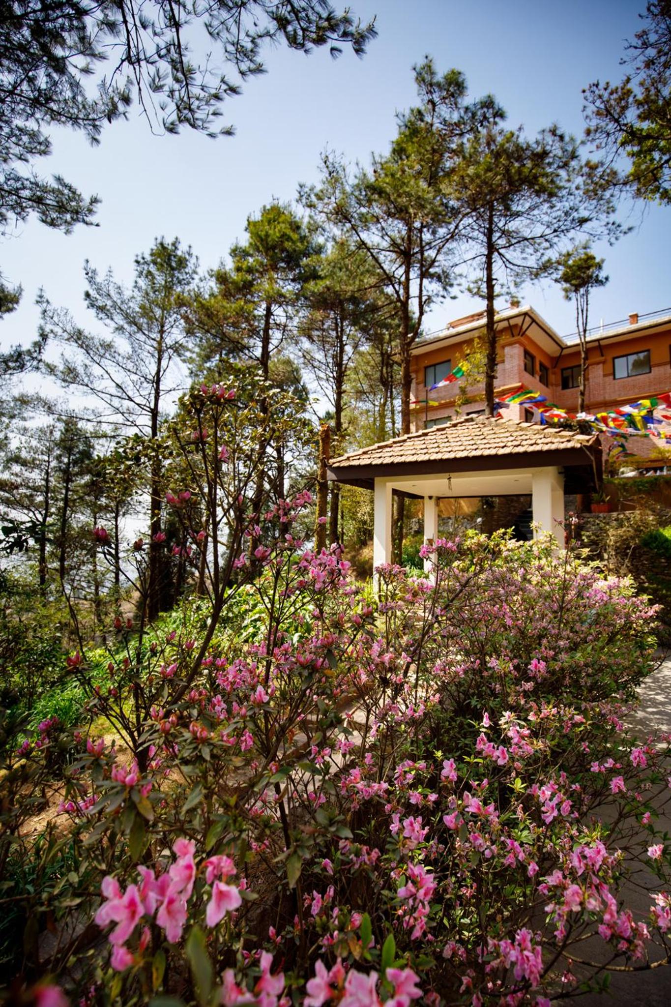 Club Himalaya by ACE Hotels 65/68
