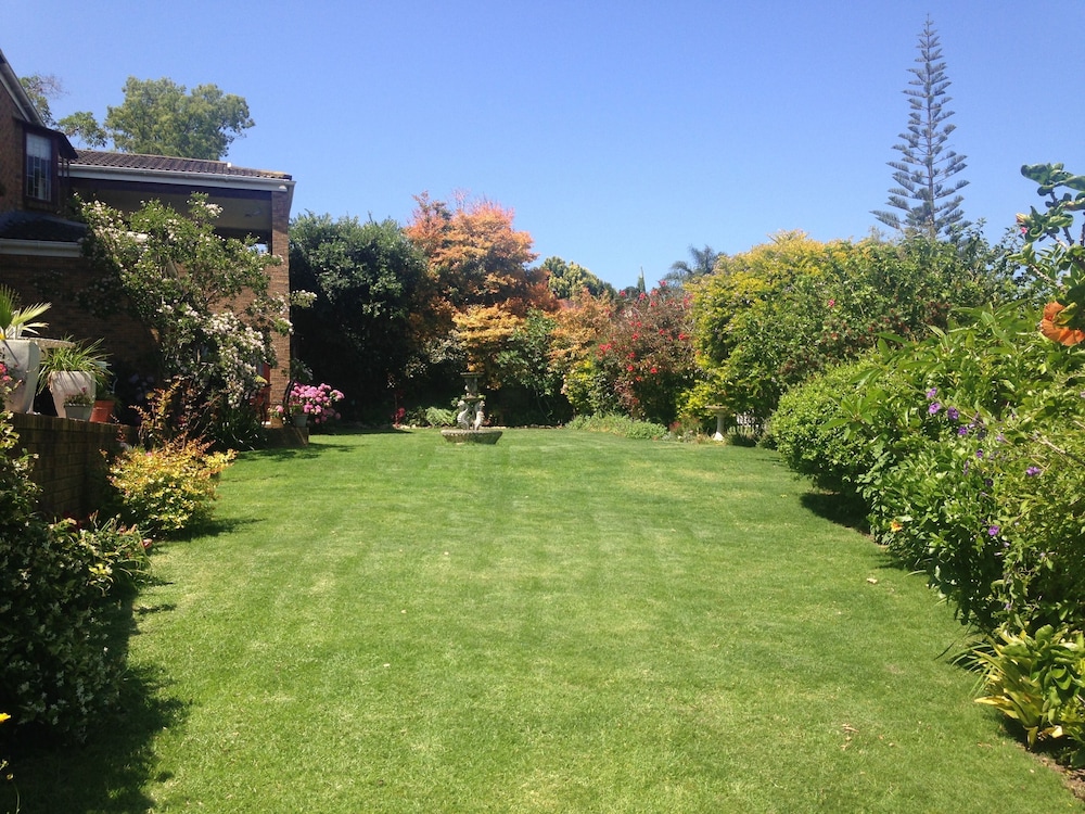 Blue Fern of Knysna 39/50