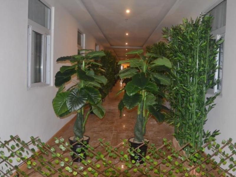 GreenTree Alliance Liaocheng Dongchangfu District Chenkou Road Liaocheng University Hotel 46/50