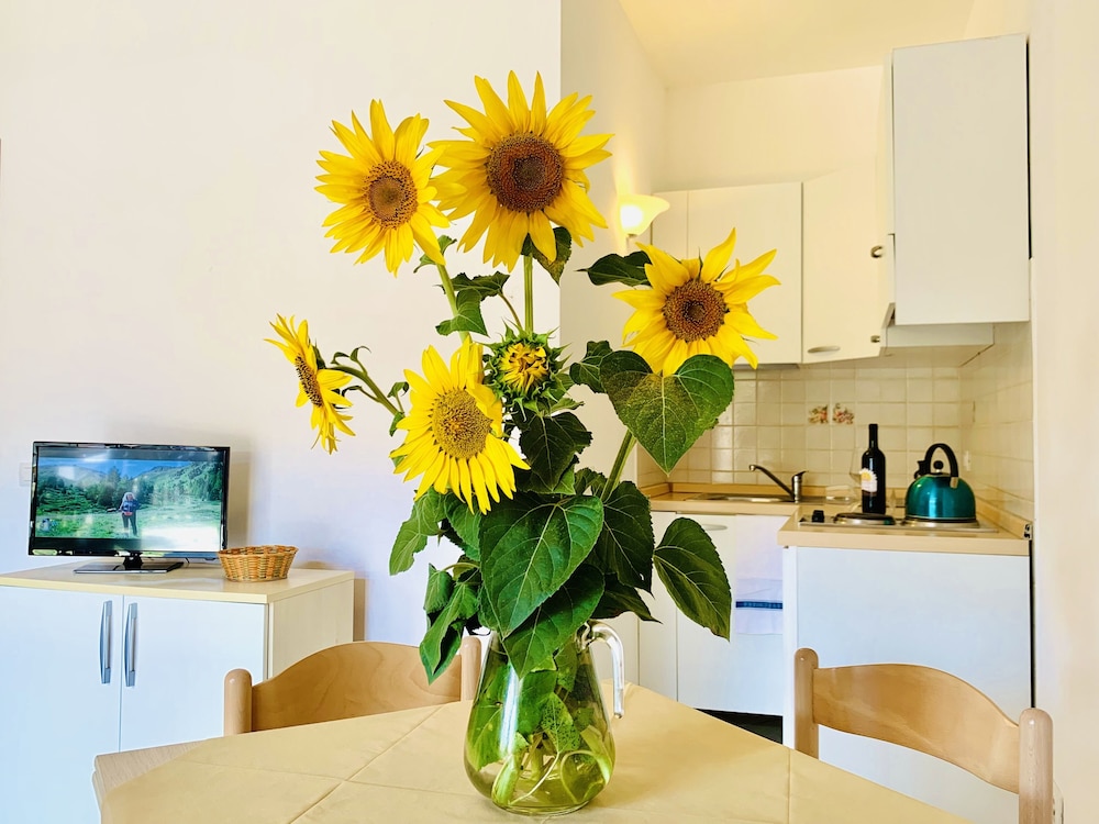 CASA IN MAREMMA 4/50