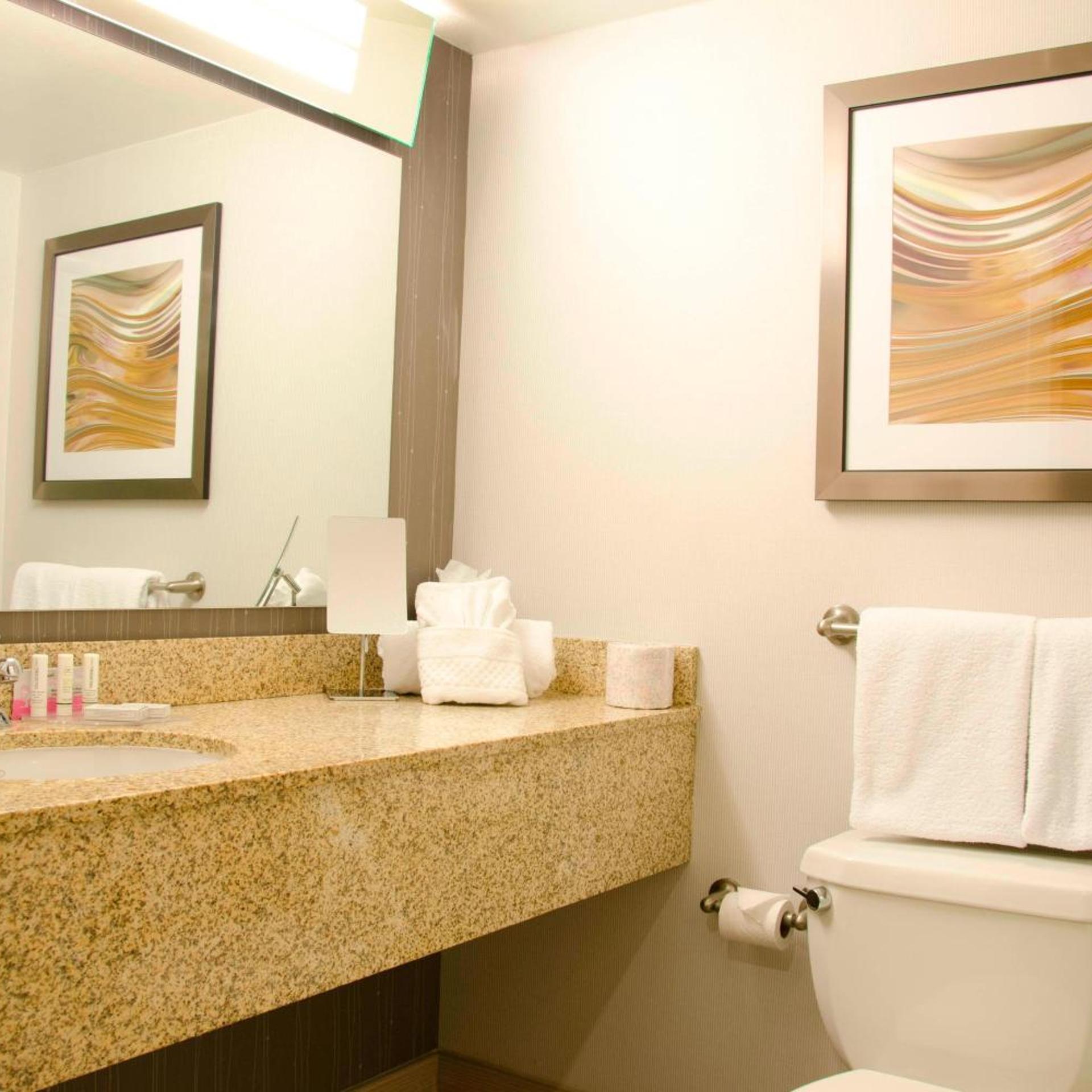 Room, King Bed, Sofa, Bathtub, Accessible, Courtyard By Marriott Waterbury Downtown 2/2