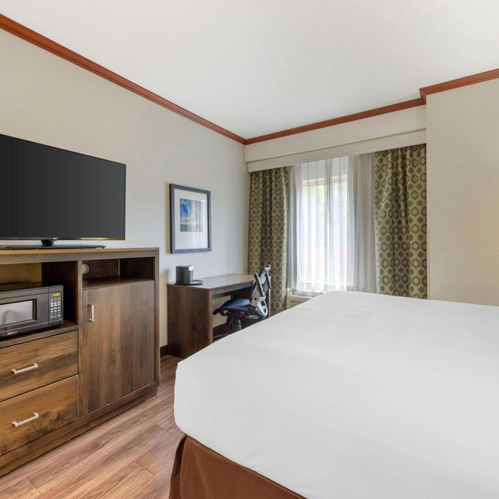 Room, King Bed, Pool Access