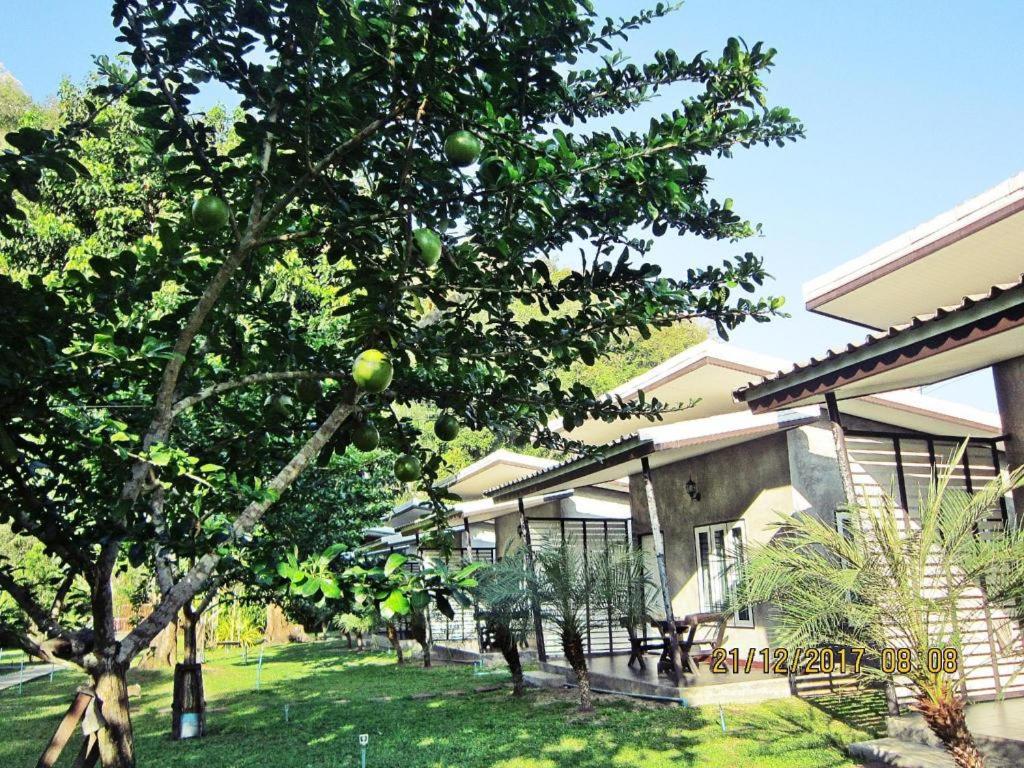 V Valley Resort 43/55