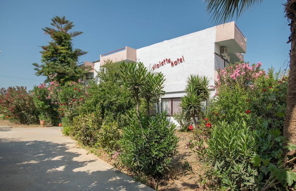 Violeta Hotel 41/44