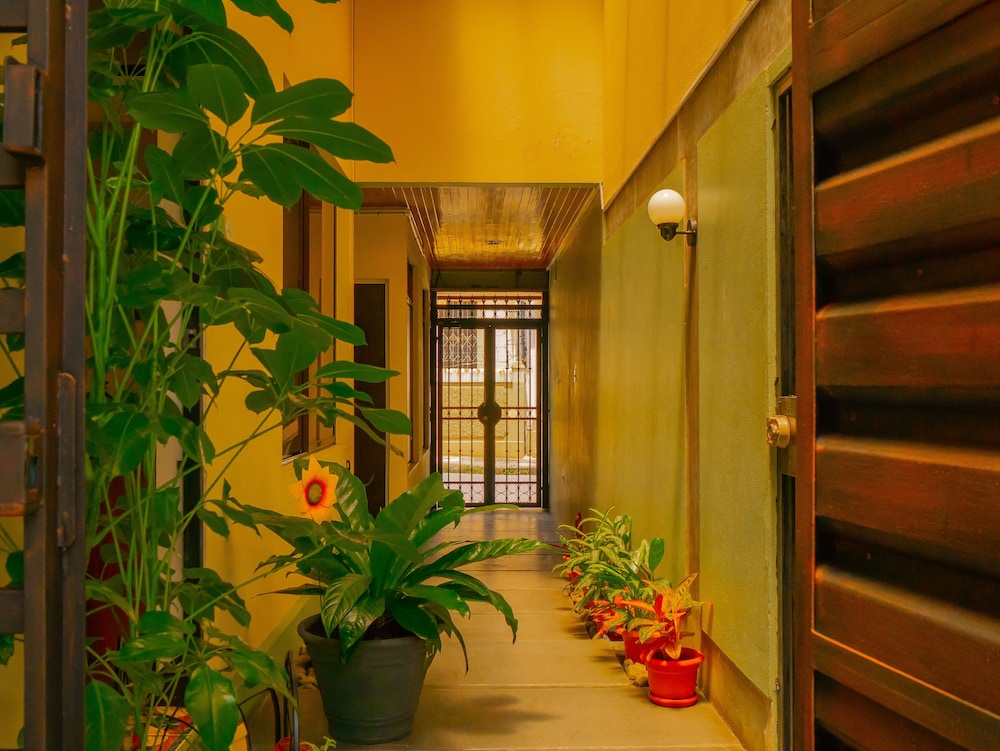 Bamboo Aparthotel 8/49