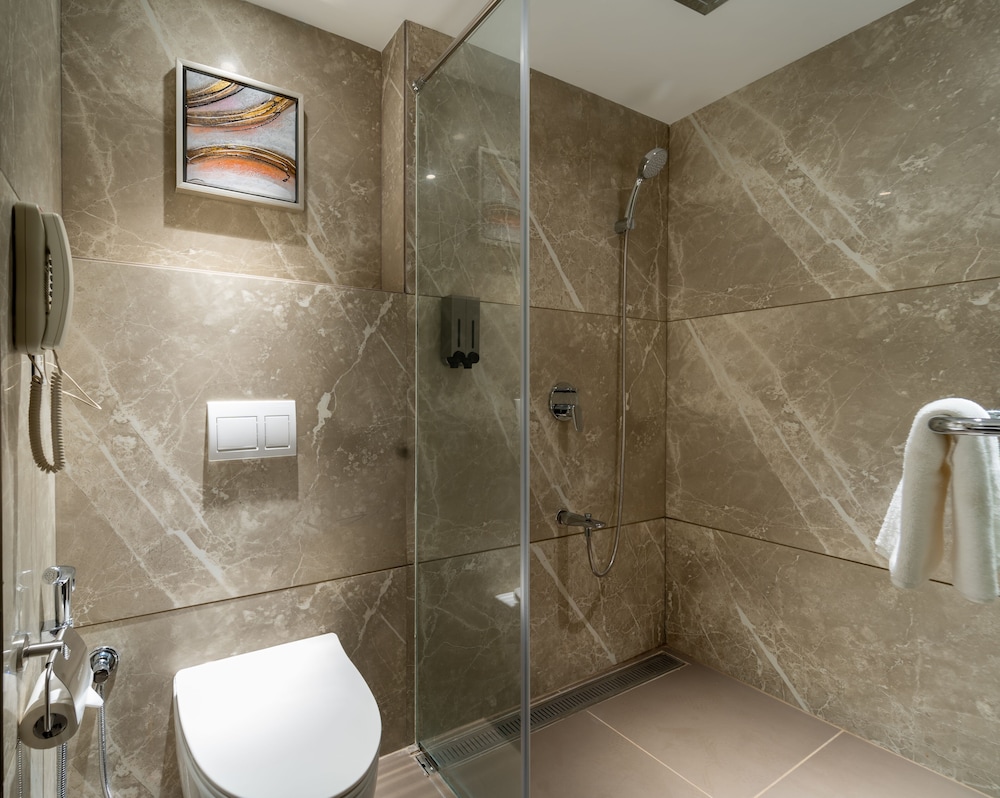 Effotel By Sayaji Indore 67/68