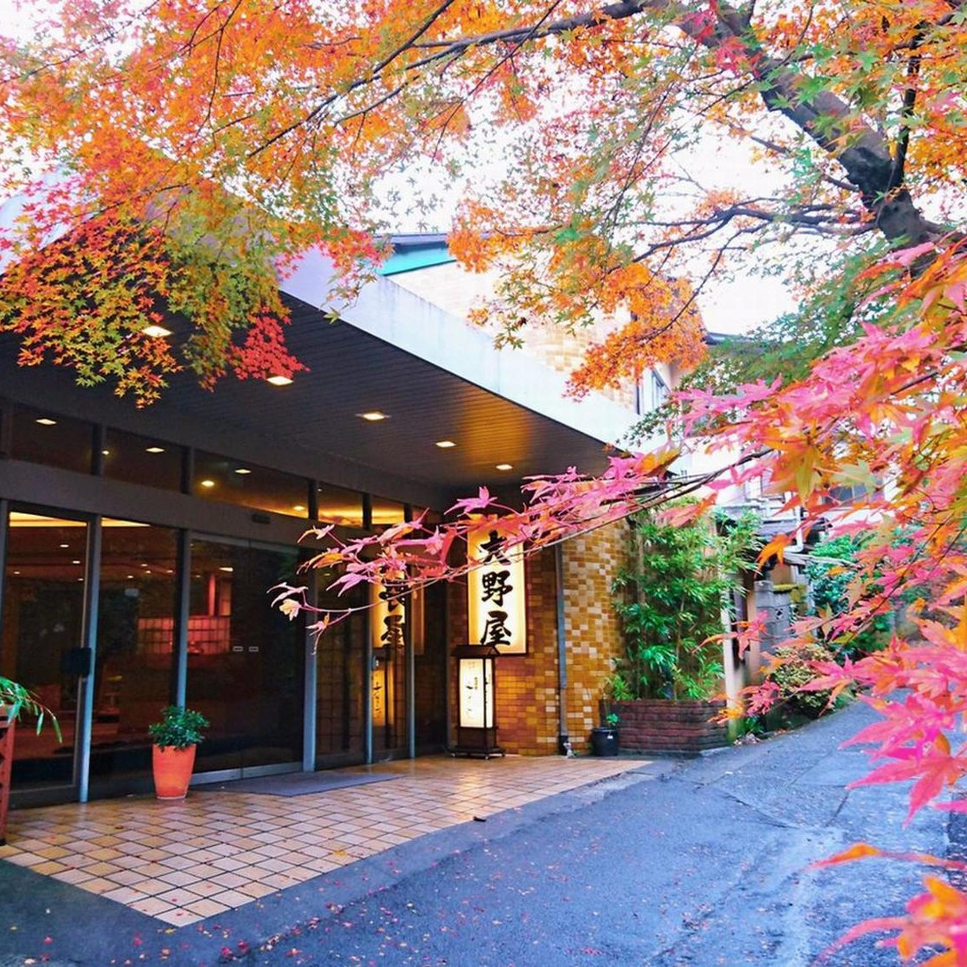 Yugawara Ohnoya Ryokan 2/50